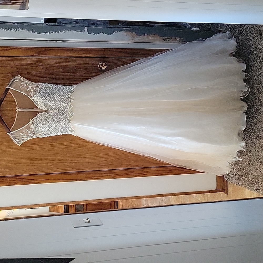 Amelia Couture size 8, Wedding, formal, ball gown. Champagne/Ivory